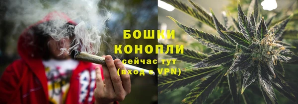 ECSTASY Гусь-Хрустальный