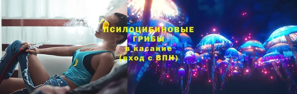 ECSTASY Гусь-Хрустальный