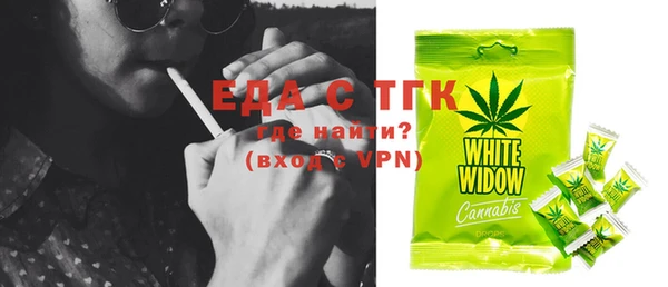 ECSTASY Гусь-Хрустальный