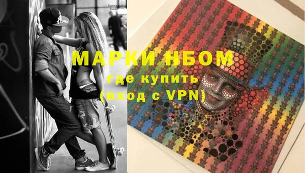 ECSTASY Гусь-Хрустальный
