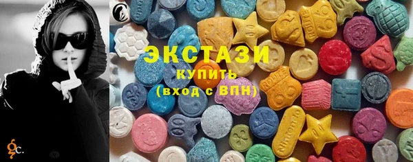 ECSTASY Гусь-Хрустальный