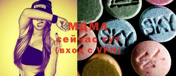 ECSTASY Гусь-Хрустальный