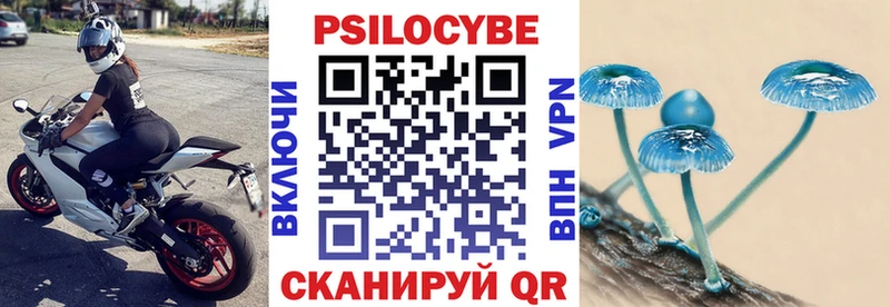 Купить  Волоколамск  Псилоцибиновые грибы Psilocybe 